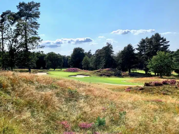 Natuurlijke heidebaan van de Rosendaelsche Golfclub in Gelderland