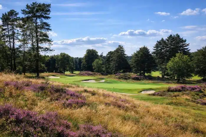 Golfbaan te midden van heide en dennen